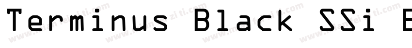 Terminus Black SSi Bold字体转换